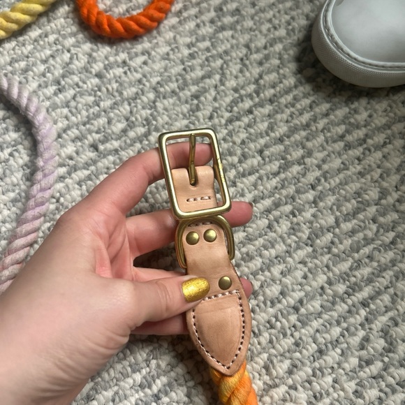 Found my animal collar - Picture 2 of 3